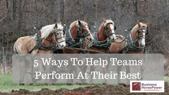 5 Ways To Help Teams Perform At Their Best