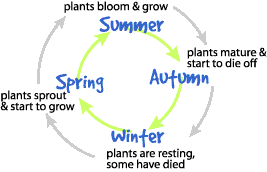 Where in the Business Cycle are You?