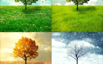 Grow Your Business with the Seasons