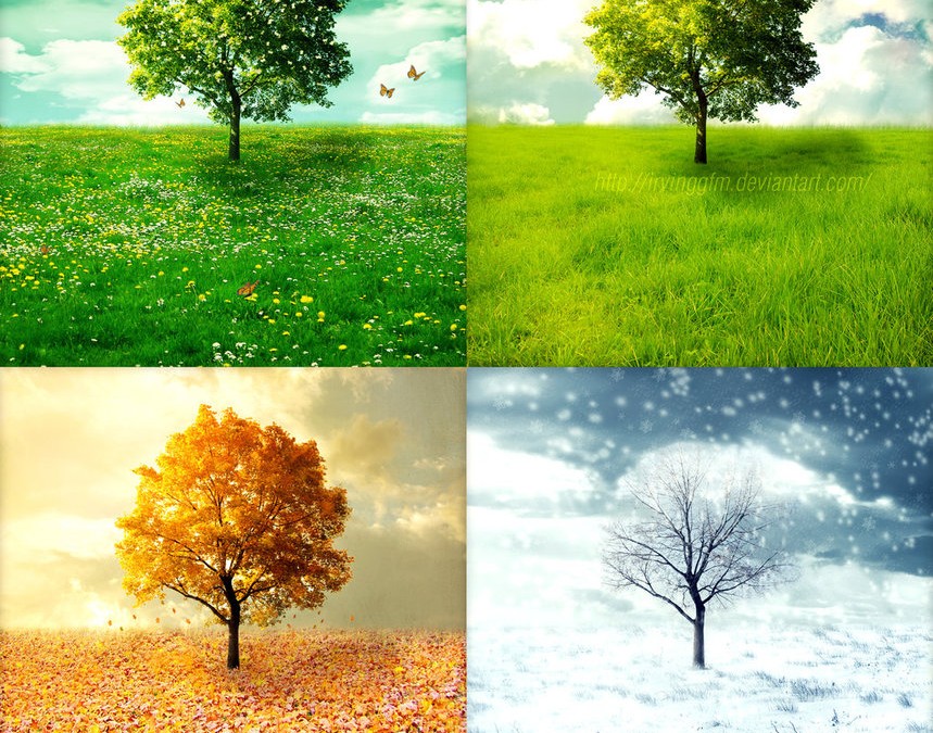 Grow Your Business with the Seasons