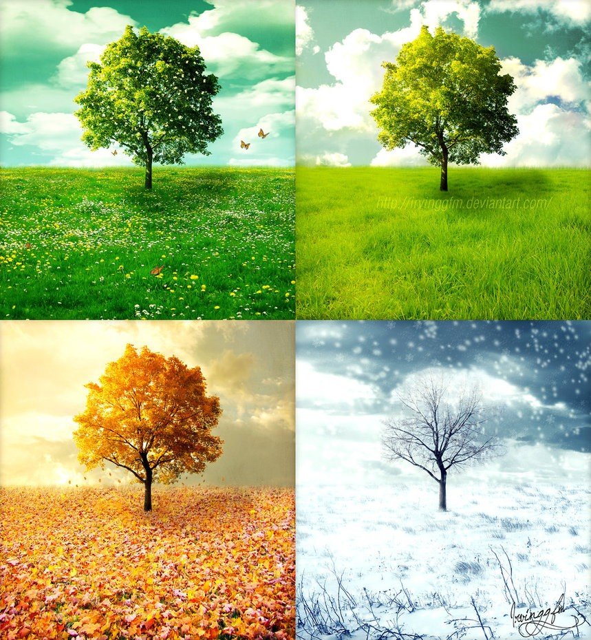 four seasons of the year