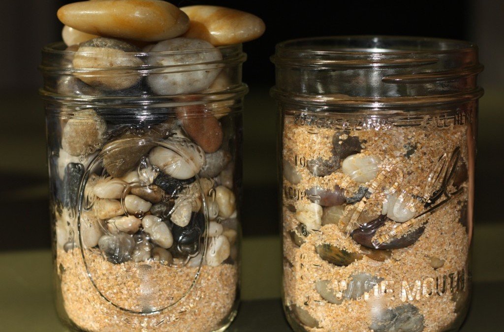 Are You Procrastinating About The Big Rocks?