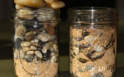 Are You Procrastinating About The Big Rocks?