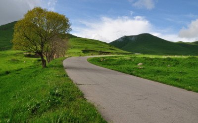 The Road Ahead: What Will You Do Differently This Year?