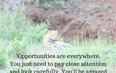 Opportunities Are Everywhere