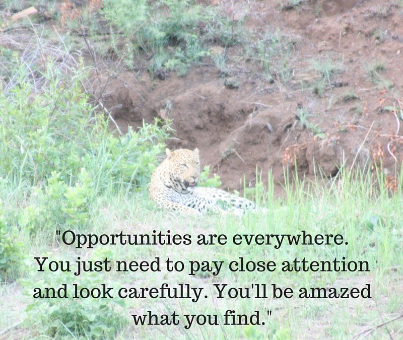 Opportunities Are Everywhere