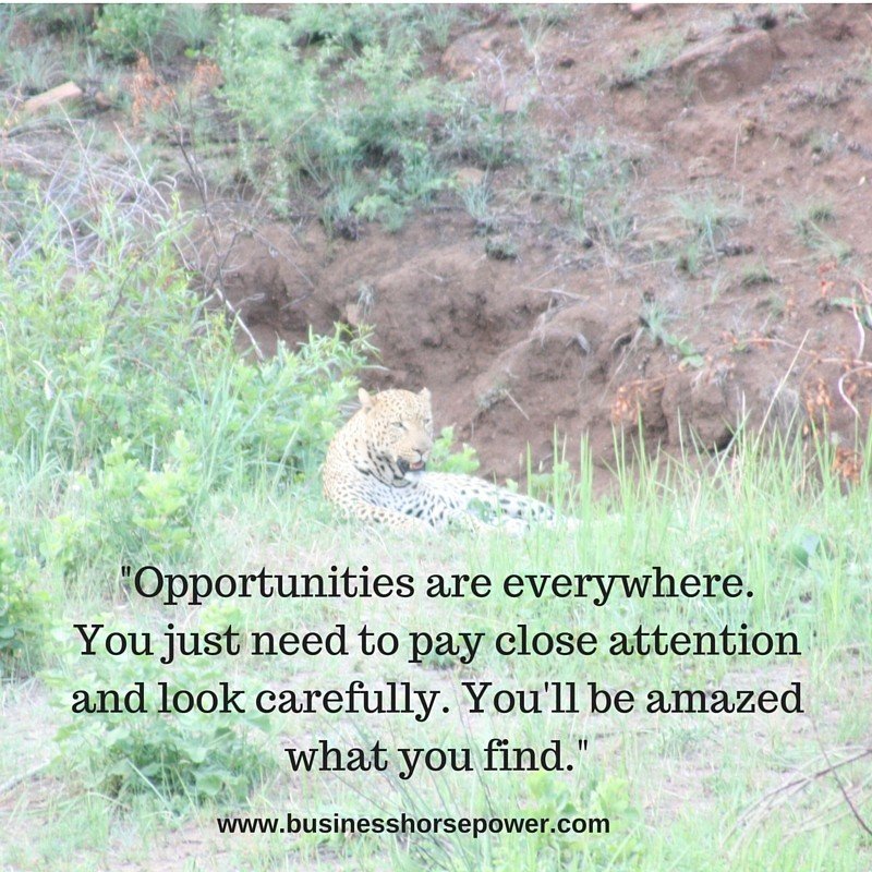Opportunities Everywhere
