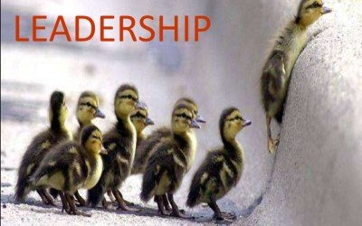 Leadership development is the number one priority of HR