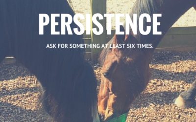 Persistence: Ask At Least Six Times For Exactly What You Want