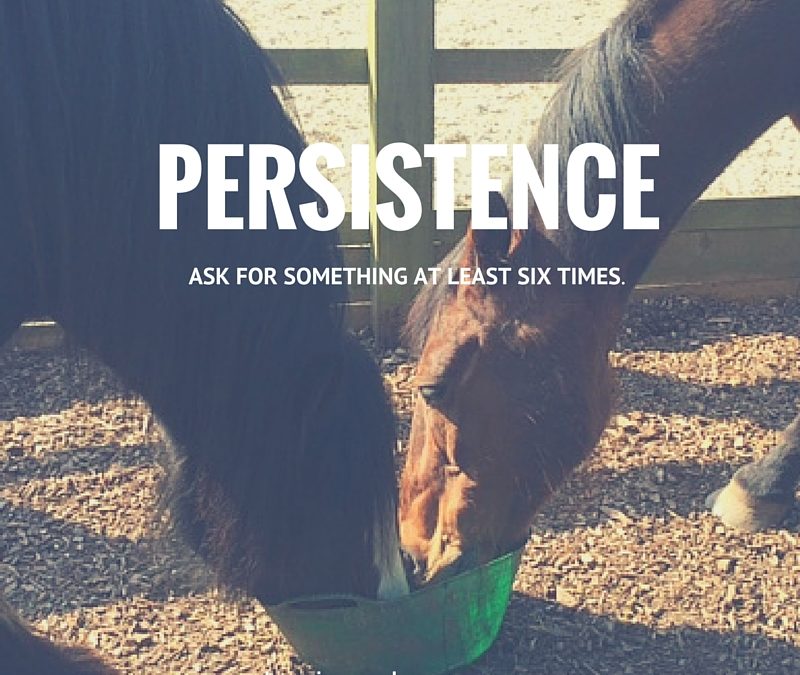 Persistence: Ask At Least Six Times For Exactly What You Want
