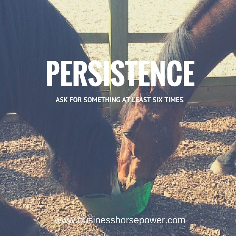 PERSISTENCE_ 6 TIMES v2