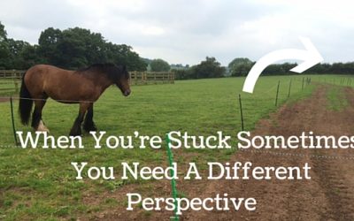 3 Reasons You Need A Different Perspective