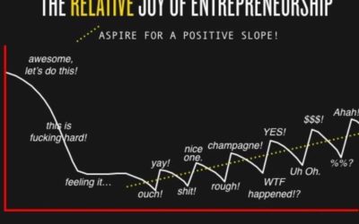 The Entrepreneurial Journey: Ebbs and Flows
