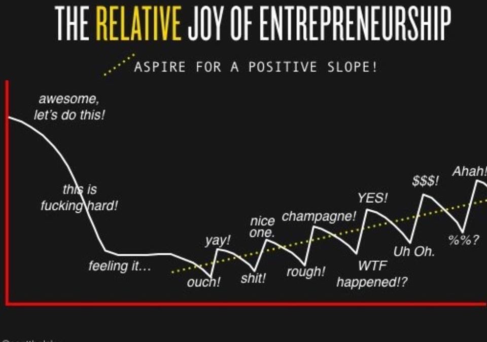 The Entrepreneurial Journey: Ebbs and Flows
