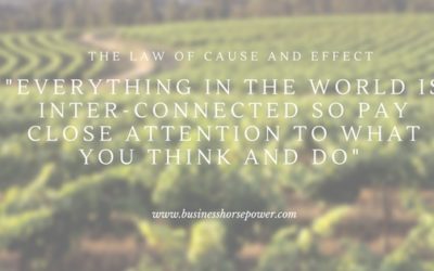 The Law Of Cause and Effect