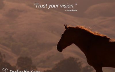 Do You Trust Your Vision?
