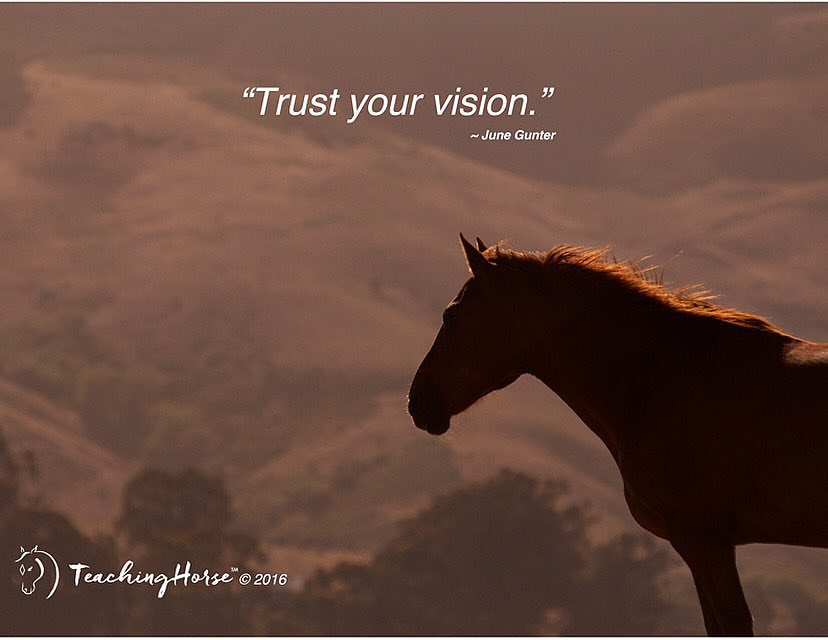 Do You Trust Your Vision?