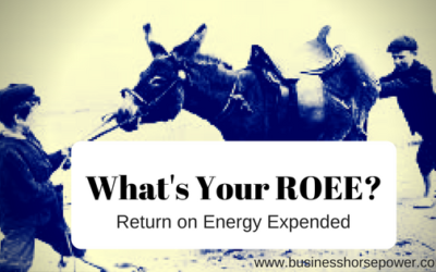 What’s Your ROEE?