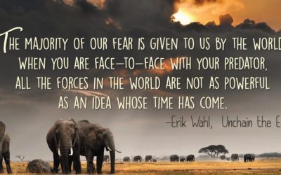 Are You Ready To Unchain The Elephant?