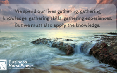 Are You Applying The Knowledge You Learn?