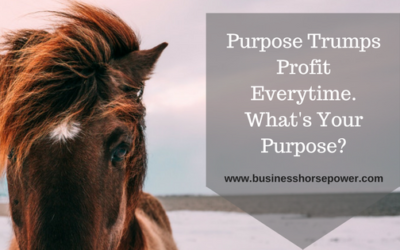 The Purpose Trumps Profit Everytime