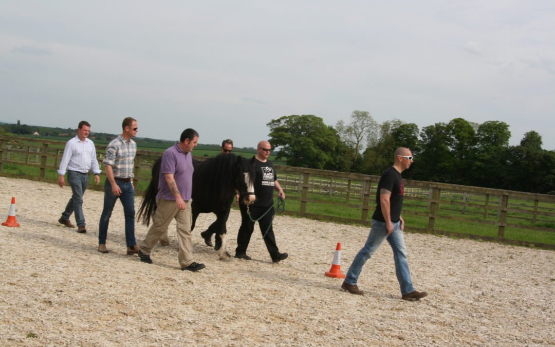 Team Leading a Horse