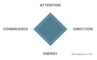 The Diamond Model of Leadership