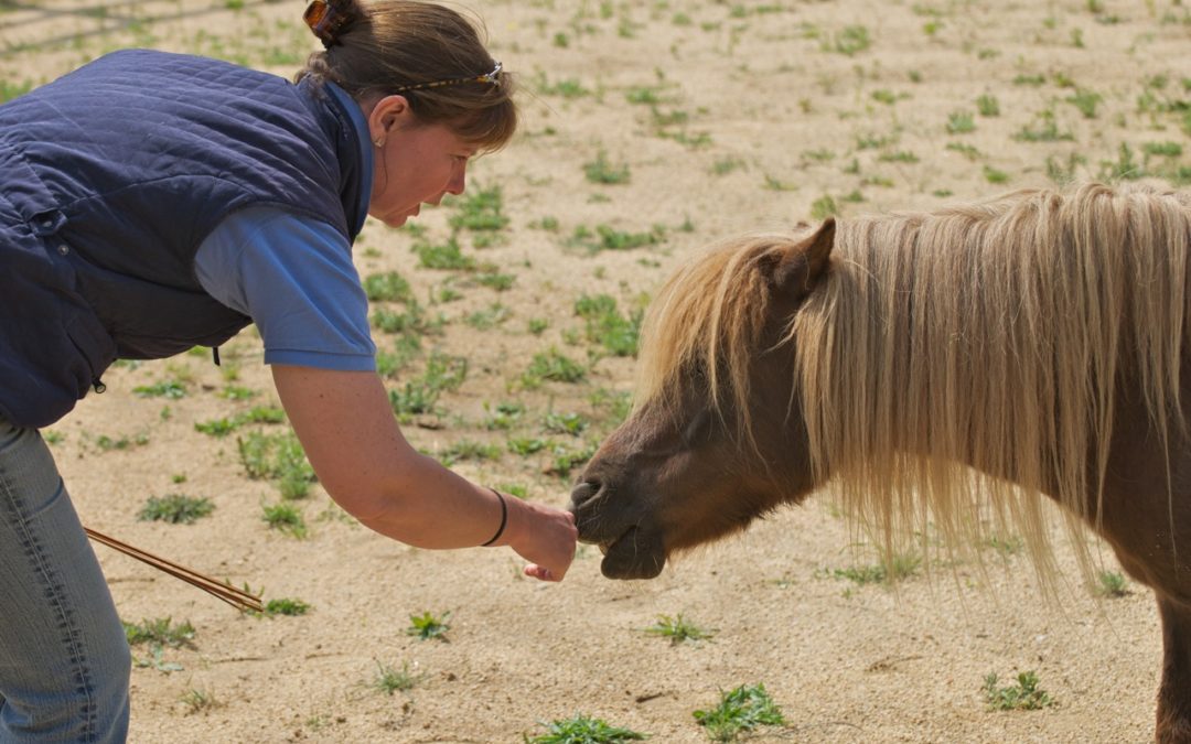 Julia Felton with a shetland pony