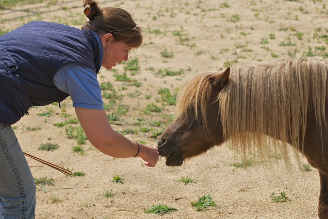 Julia Felton with a shetland pony