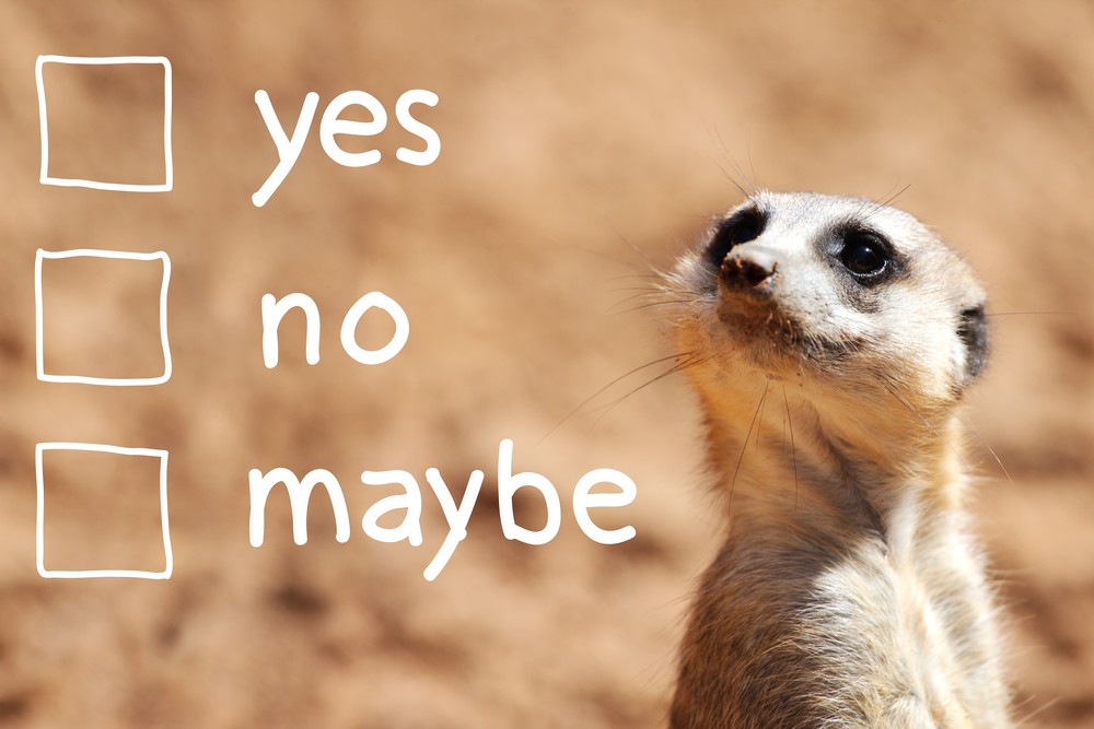 Options - yes, no, maybe