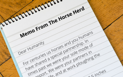 Memo From The Horse Herd Regarding COVID-19