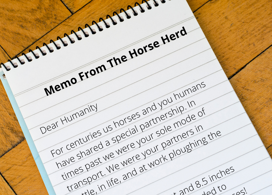 Memo From The Horse Herd Regarding COVID-19