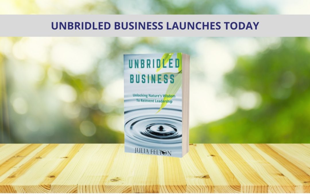 Copy of Unbridled Business Book In Nature