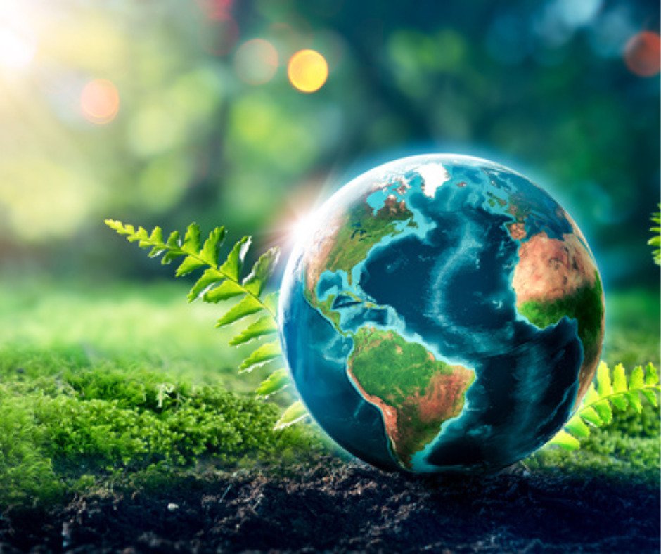 A globe of the world in a forest