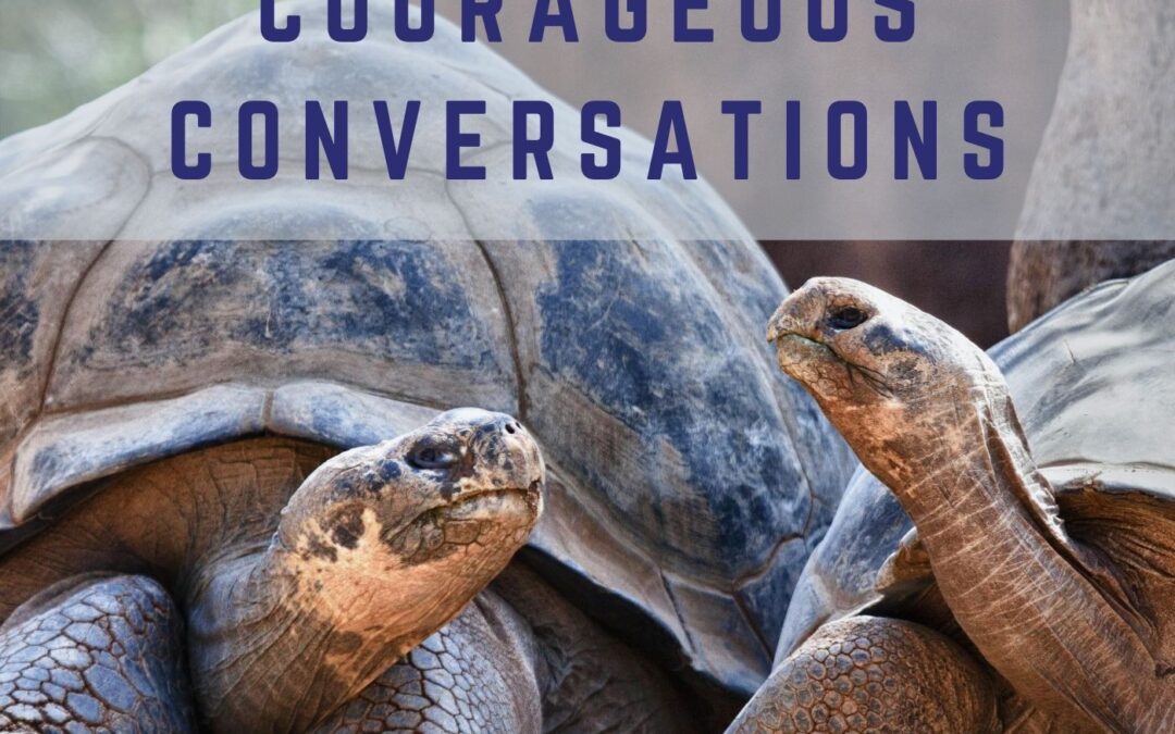 Two tortoise having a conversation