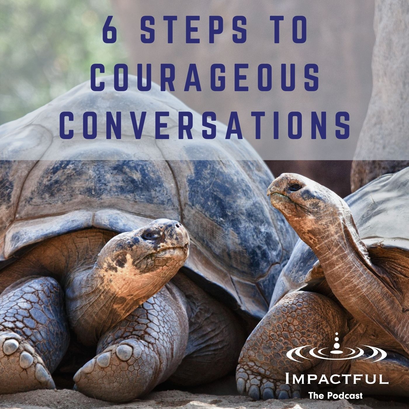 Two tortoise having a conversation