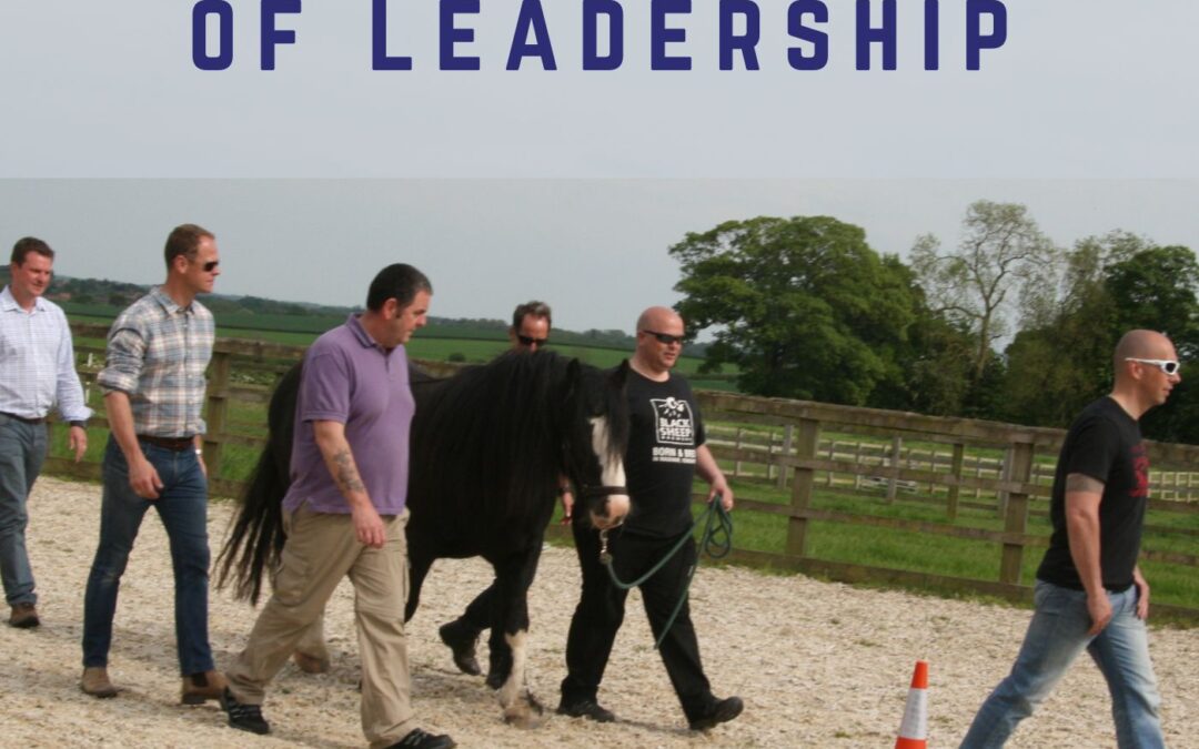 #9 – Three Positions of Leadership