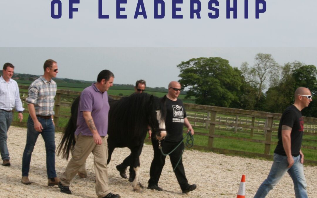 Team of men walking with a horse at liberty