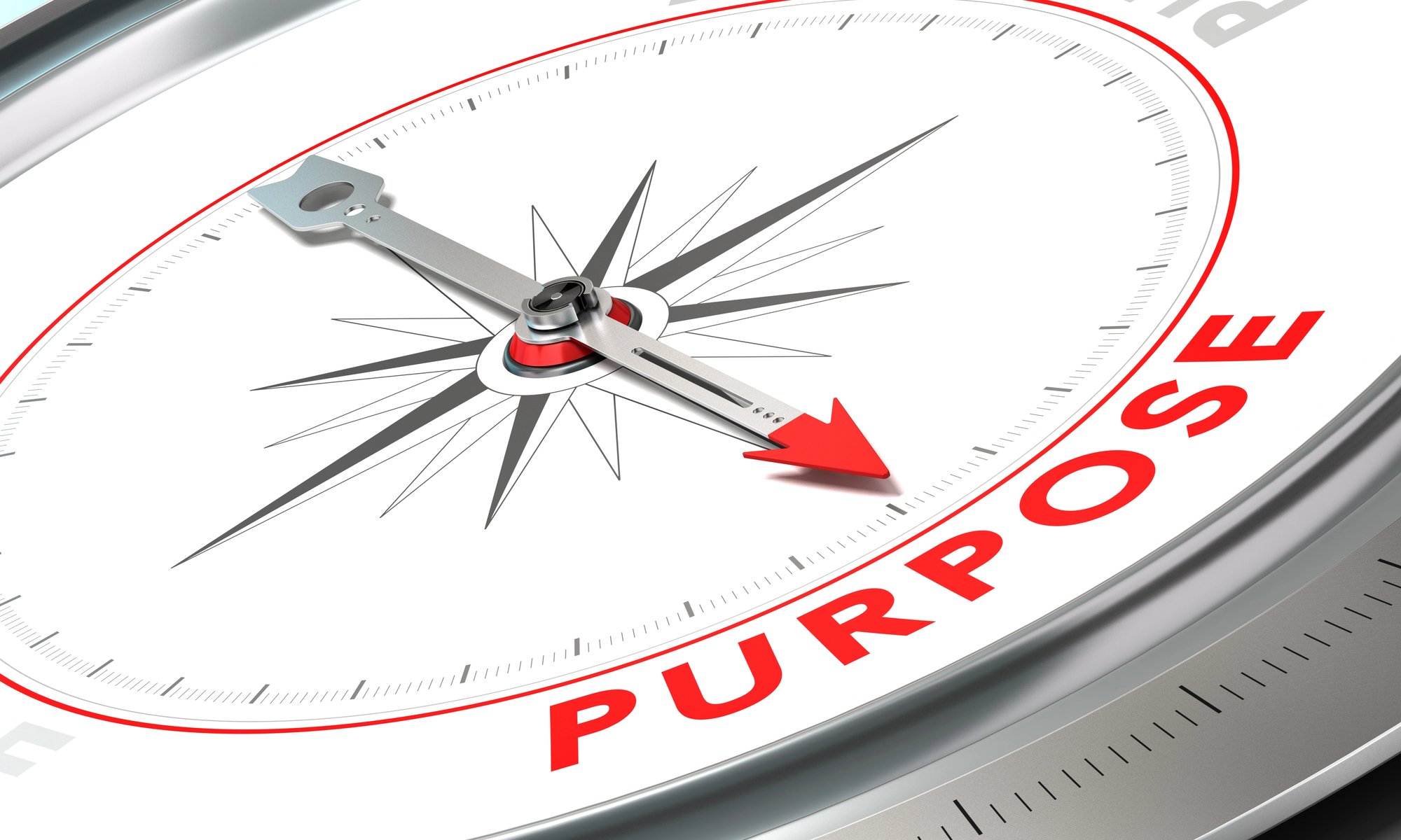 Compass showing the word purpose on it