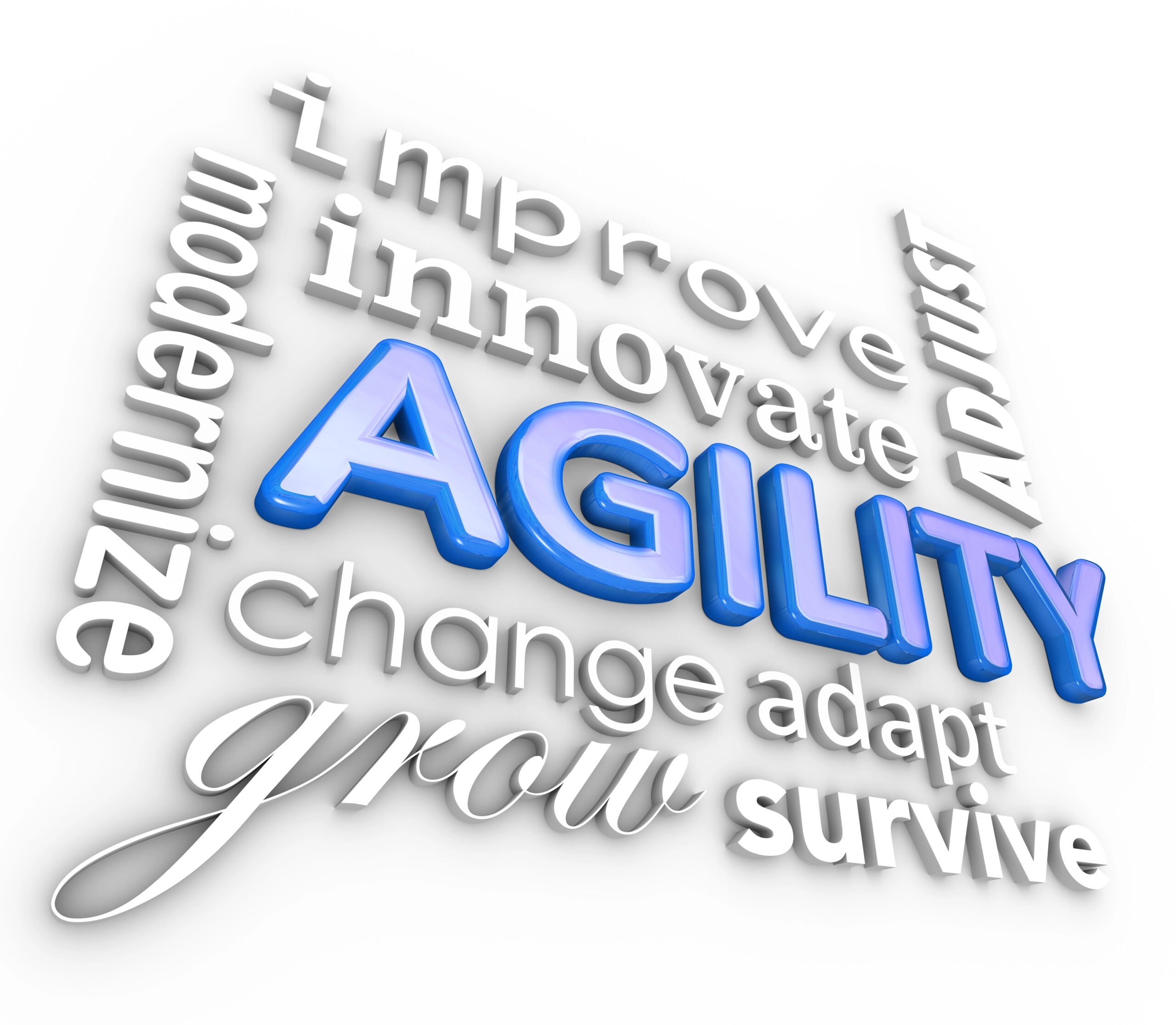word cloud of agility
