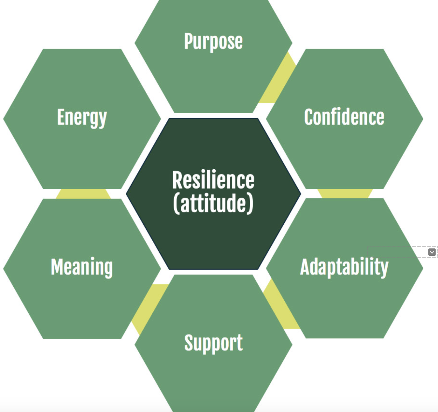 graphic showing the seven dimensions of resilience