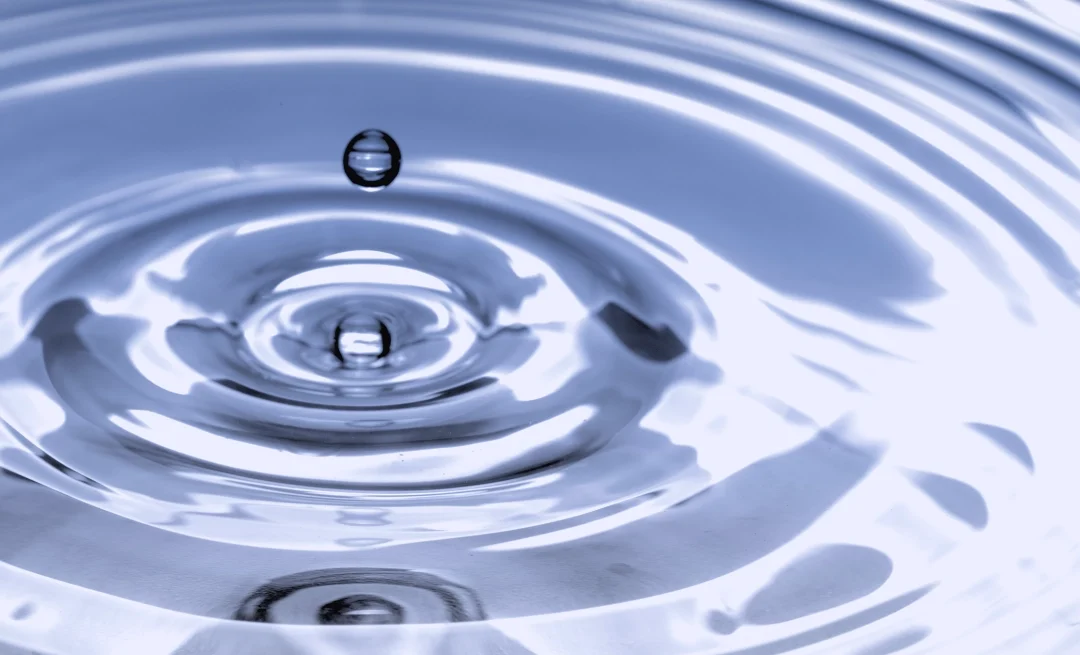 58 – Harnessing Nature’s Blueprint for Dynamic Leadership