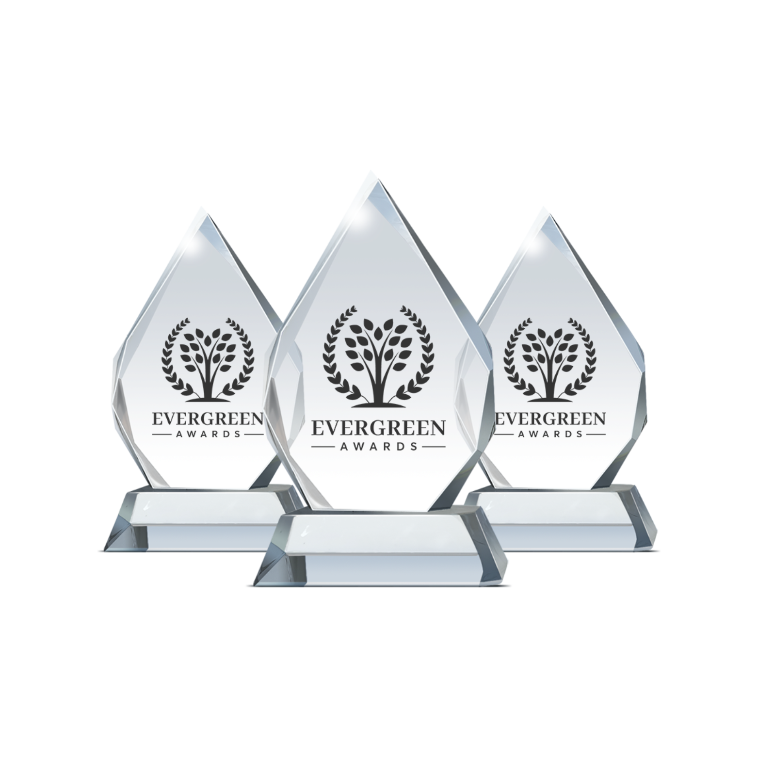 three awards in glass for best leadership coach