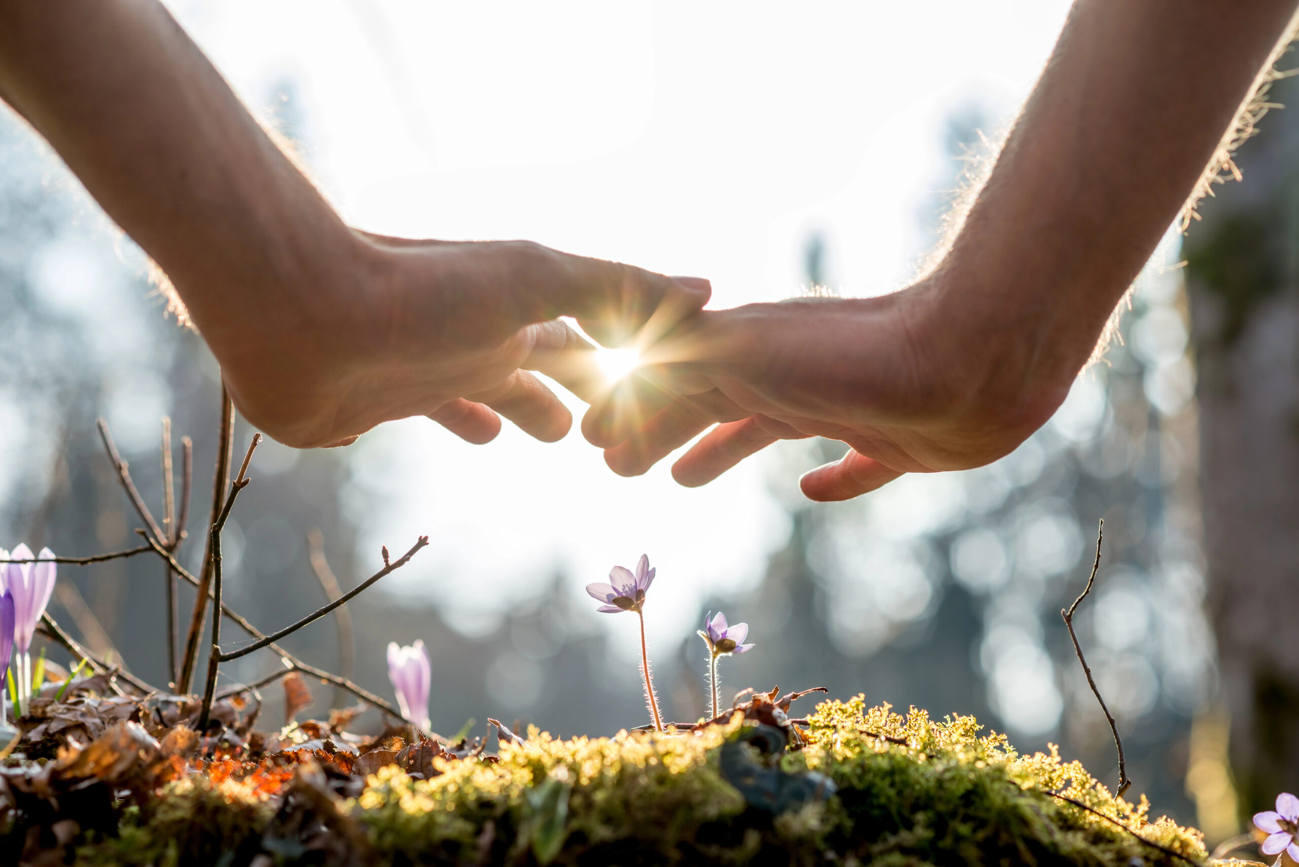 two people holding hands in a garden with spark between them