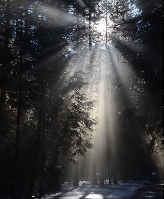 74 – Attention: The Hidden Leadership Superpower Revealed