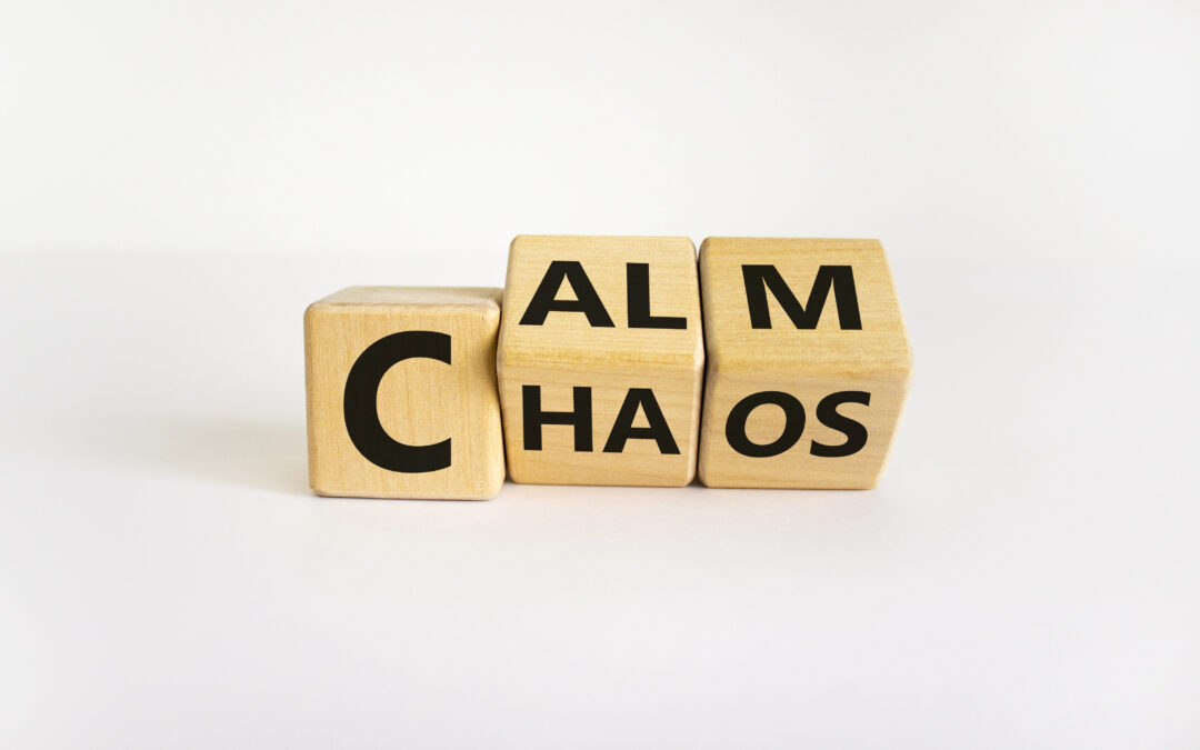 79 – When Your CEO Creates Chaos: 5 Strategies to Lead with Clarity