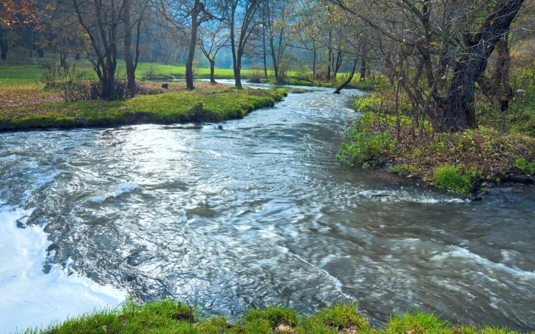 82 – Flow: The Key to Unstoppable Team Performance