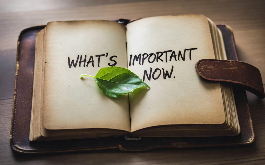 95 – Mental Fitness in Leadership: Insights from Brian Vogel