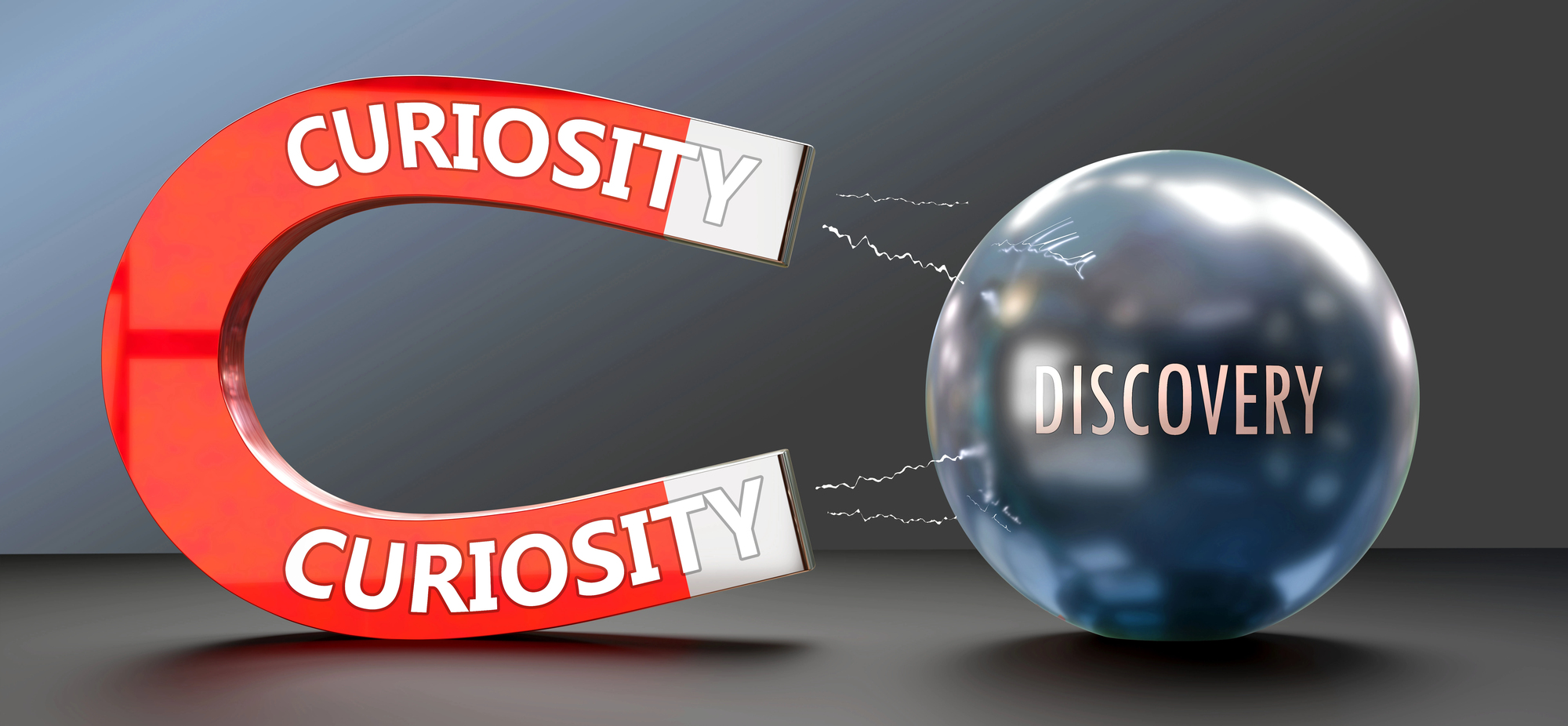 Magnet with word curiosity on it