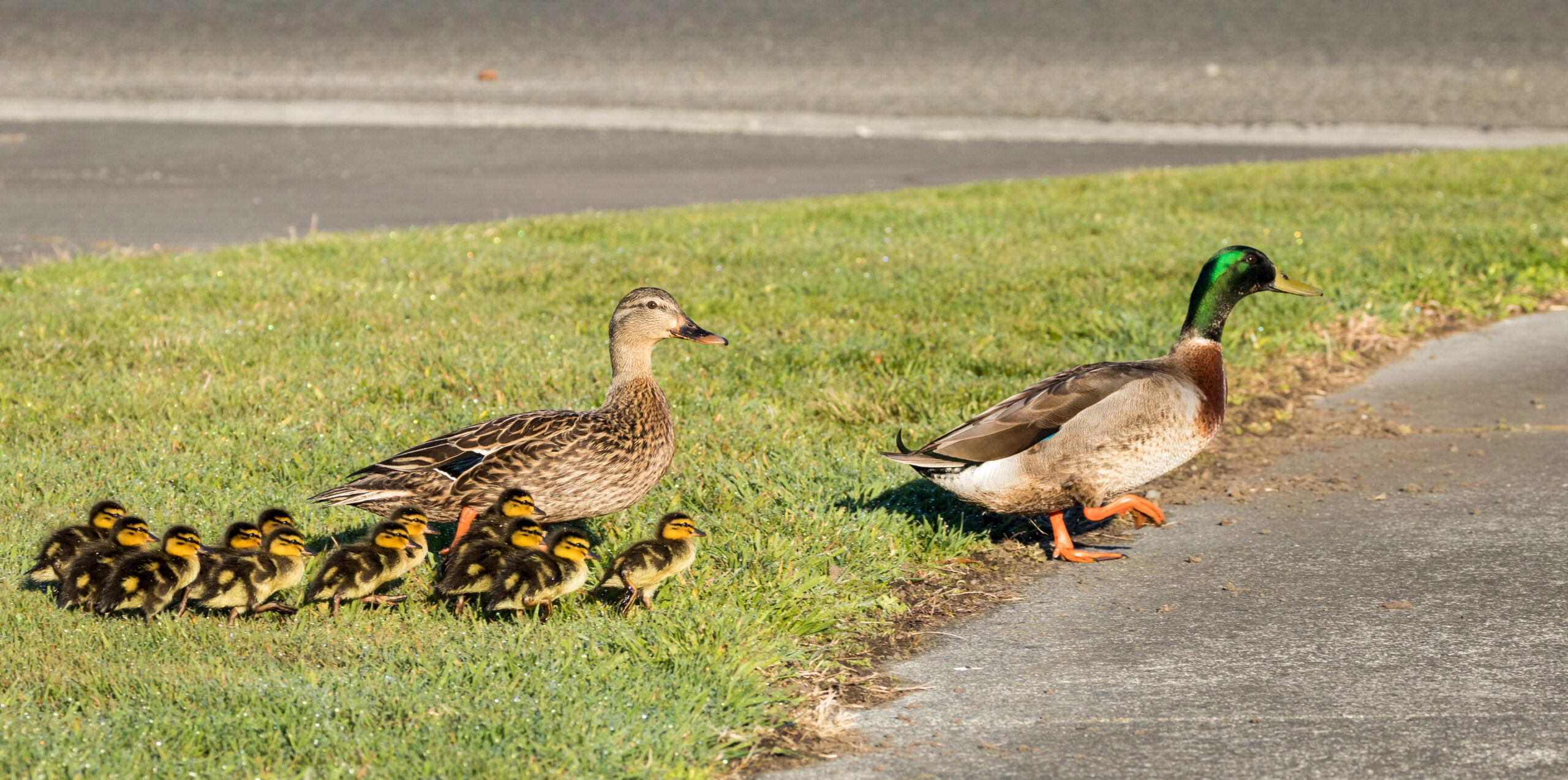 Depositphotos_124687242_XL